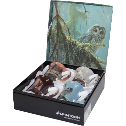 McIntosh Fine Bone China Gift Boxed Mug Set of (4) - Robert Bateman "Owls" 